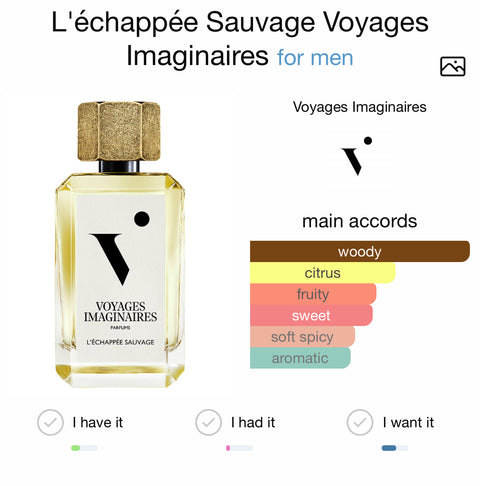 VOYAGES IMAGINAIRES LECHAPPEE SAUVAGE
